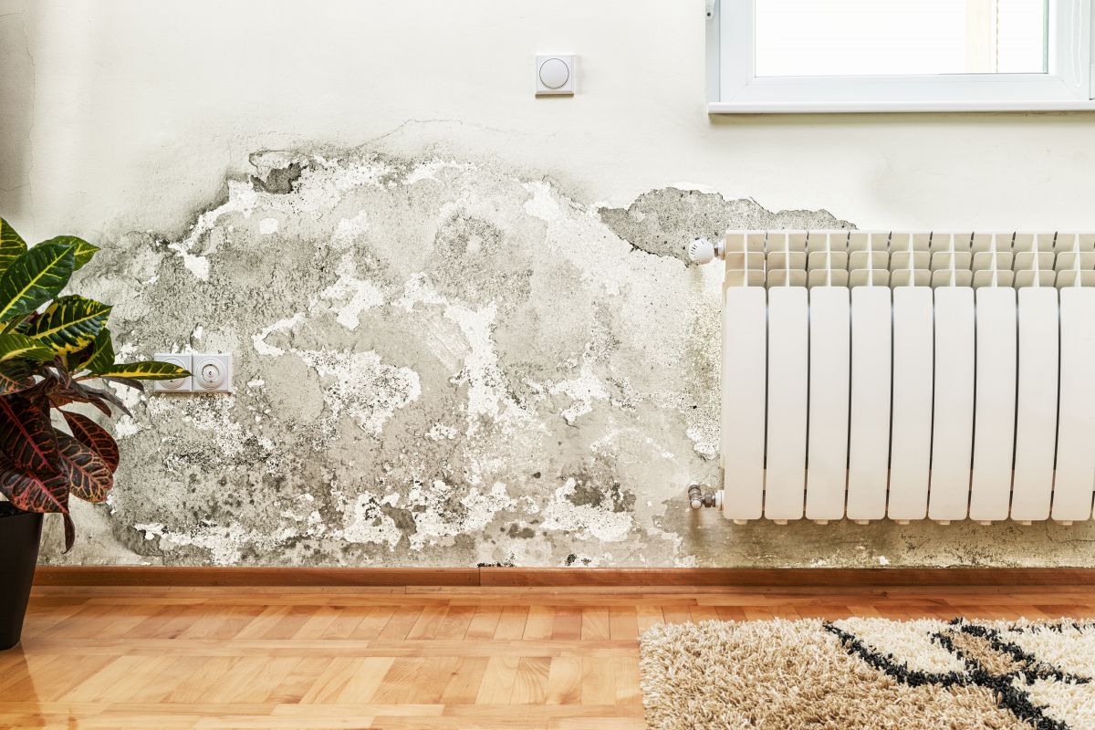 Water Damage,